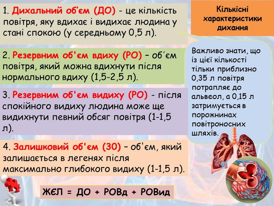 0400604l-012d-940x705.jpg