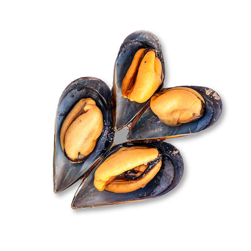 China Blue Mussel Manufacture and Factory | MAKEFOOD