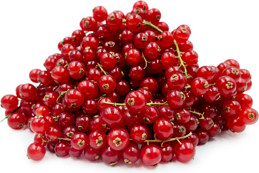 Red Currant Berries Information and Facts