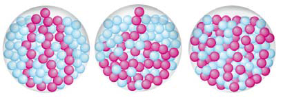 040069td-c75d-410x141.png