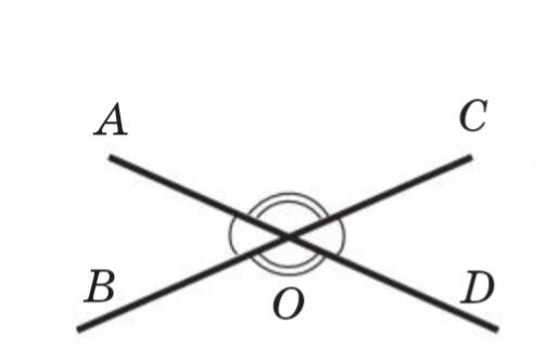 04006co4-ff5b-494x334.jpg
