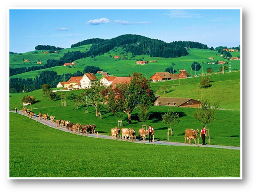 04006hkk-d27d-940x711.png