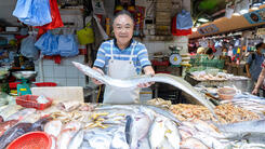 The Tireless Fishmonger | Channel 823 | Link