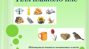 Презенетація на тему "Тіла навколо нас"