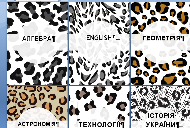 04006o08-2fd8-754x510.png