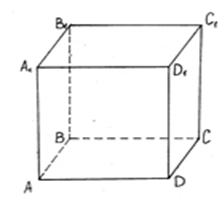 04006obe-4396-222x198.png