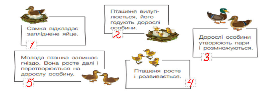 04006r66-2831-940x335.png