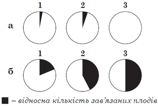 04006rk5-b275-315x213.png