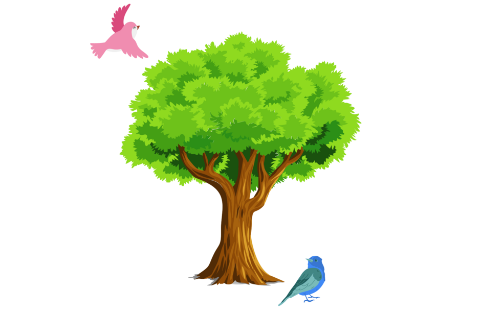 04006rqn-129e-940x613.png