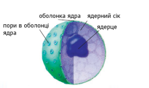 04006srq-4493-466x276.png