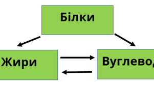 Практична робота № 1