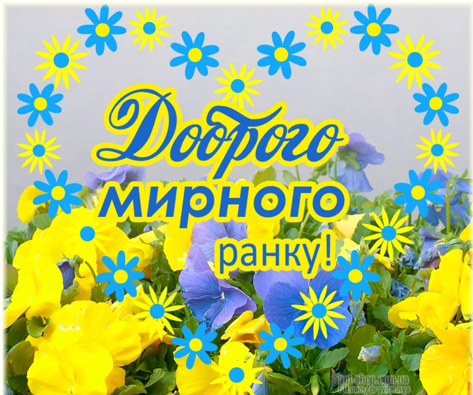 04006wn0-5976-937x782.png