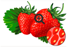 04006y8v-8afc-234x165.png