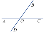 04006zhu-9a2b-188x138.png