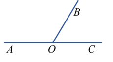04006zjj-21fa-231x127.png