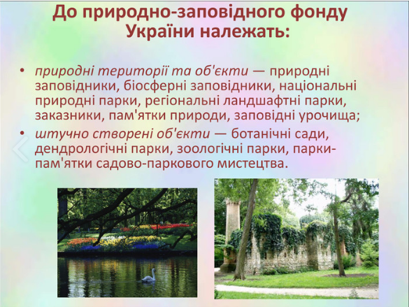 040073co-69c7-585x439.png