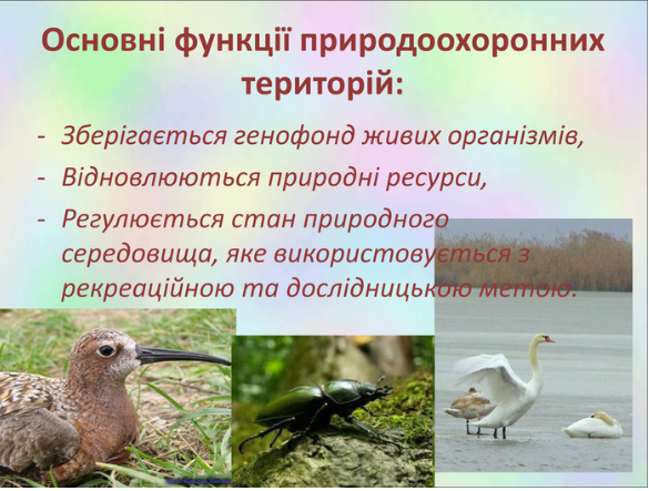 040073ek-91d9-585x443.png