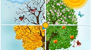Ілюстрації з текстами Seasons