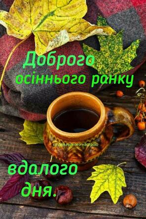 040078ob-a059-295x442.jpg