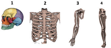 04007993-5355-364x160.png