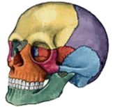 040079f6-4db1-162x154.png