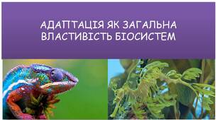АДАПТАЦІЇ 