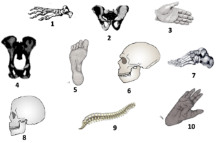 040079z4-c62d-316x209.png