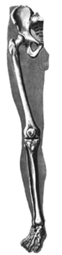 04007aib-8597-89x364.png