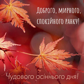 04007aj0-7166-290x290.jpg