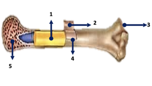 04007bcf-37af-299x169.png