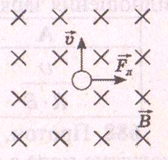 04007ks9-c07b-168x160.png