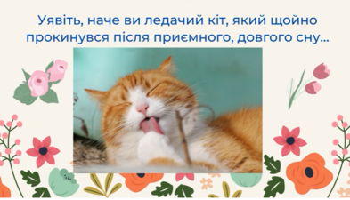 04007kxe-abfa-393x225.png