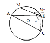 04007rcm-d2ff-166x143.png