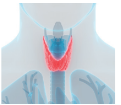 04007ufy-f408-121x105.png