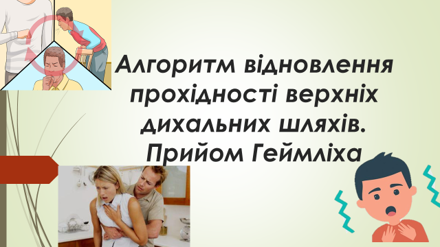 04007wfy-d102-640x360.png