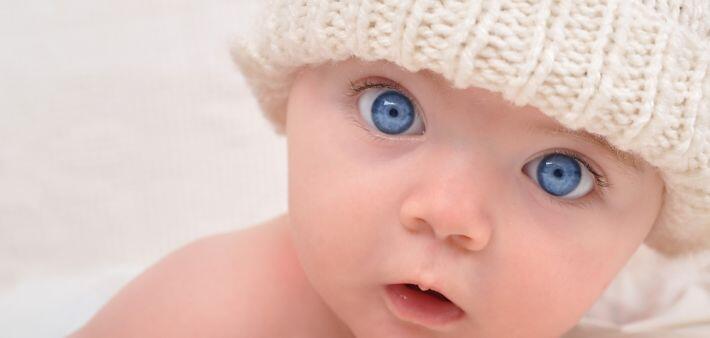 04007whs-a7a3-710x338.jpg