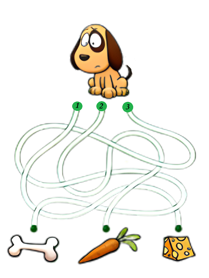 0400828m-1af5-692x920.png