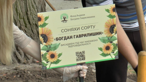 040084bt-9df3-512x289.png