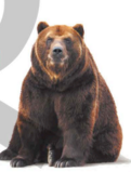 0400867e-9458-121x159.png