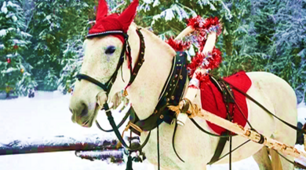 Jingle bells (розбираємо перший куплет)