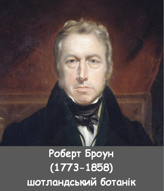040087yj-c87c-523x609.png