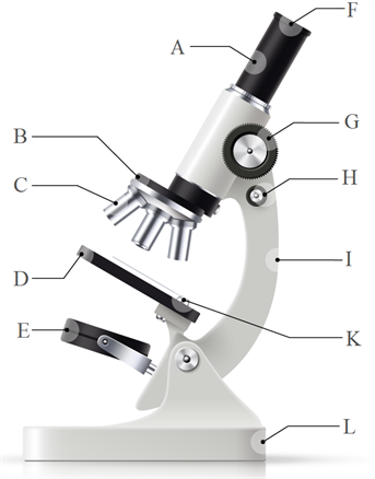 040088ah-f275-343x438.png