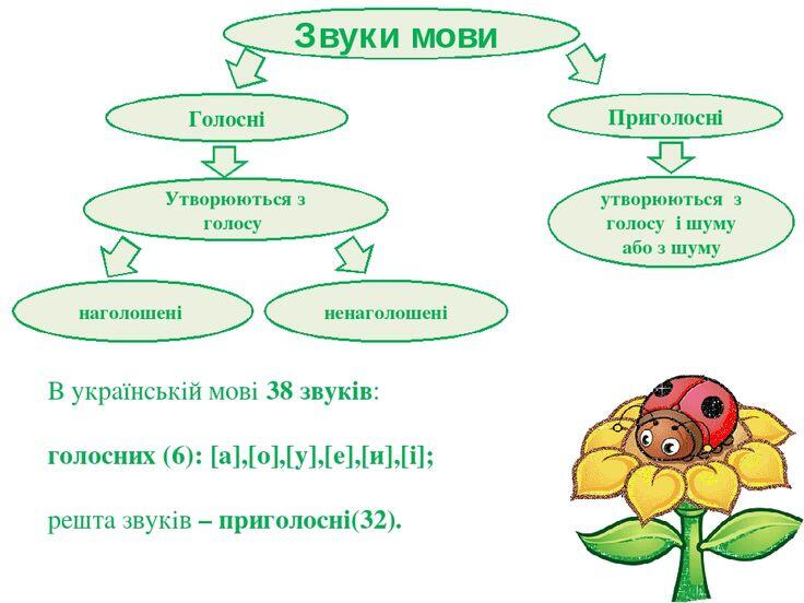 Звуки мови Голосні Приголосні наголошені ненаголошені утворюються з голосу і шуму або з шуму В українській мові 38 звуків: голосних (6): [а],[о],[у...
