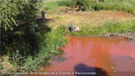 04008b9a-047f-135x76.png