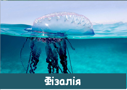 04008crc-9e6f-416x297.png