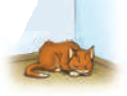 04008kc6-c09c-261x198.png