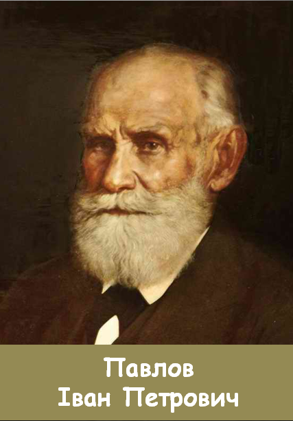04008klb-00df-427x612.png