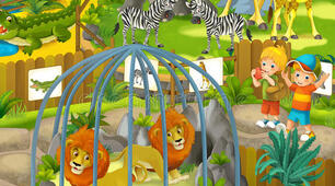 The zoo