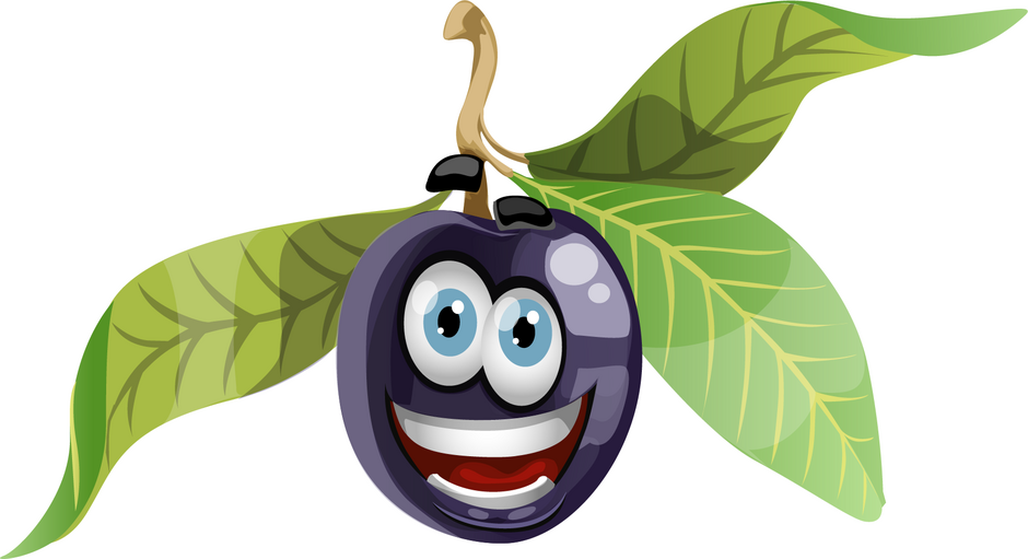 04008p4d-8443-940x511.png