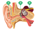 04008pbk-6f7e-158x123.png